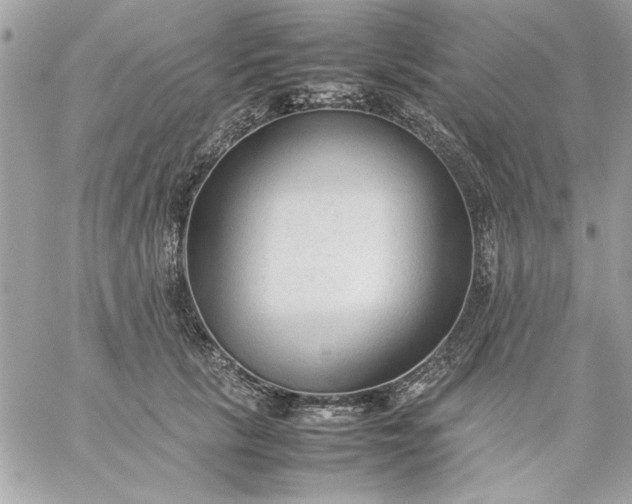 X0000059230657200510281906