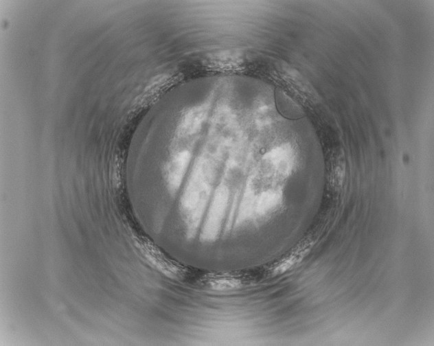 X0000059230658200510281906