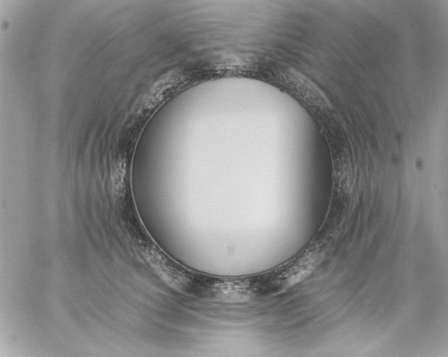 X0000059230660200510281906