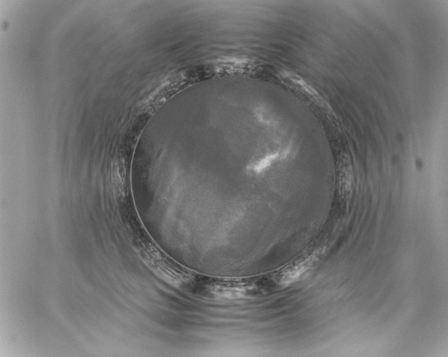 X0000059230661200510281906