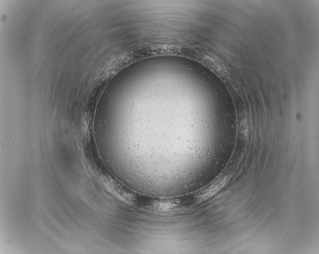 X0000059230662200510281906