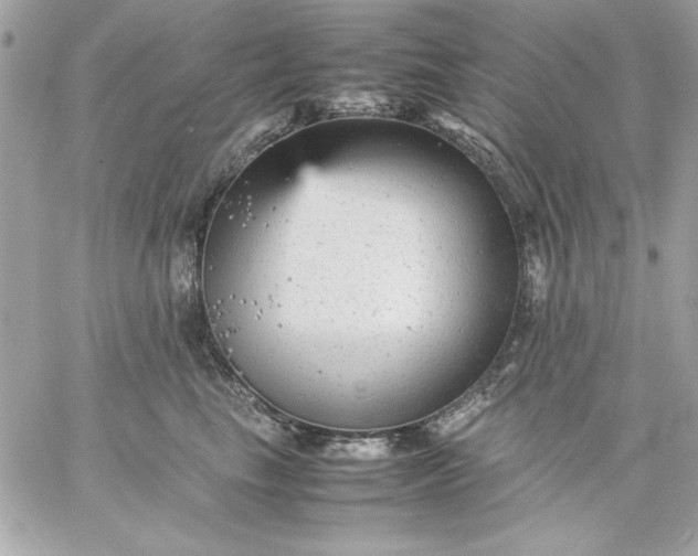 X0000059230665200510281907