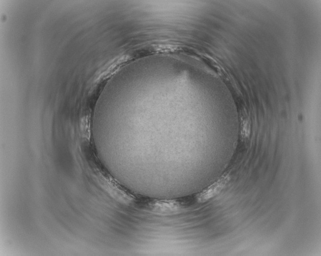 X0000059230666200510281907