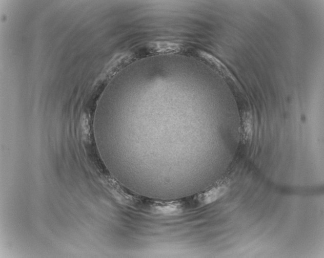 X0000059230667200510281907