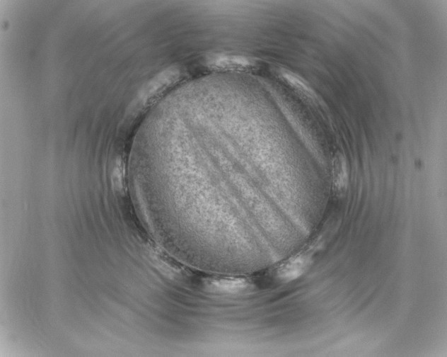 X0000059230669200510281907