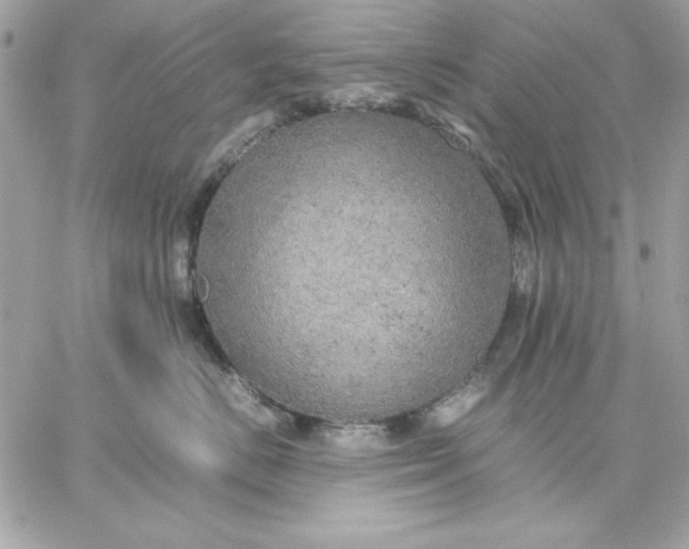 X0000059230670200510281907