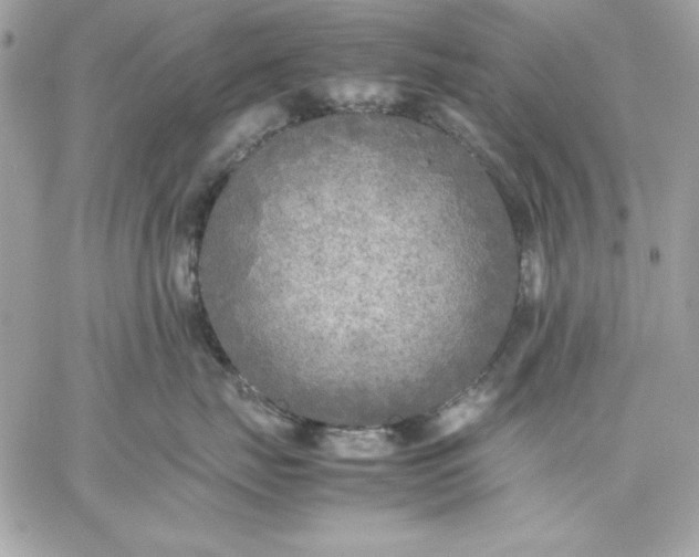 X0000059230671200510281907