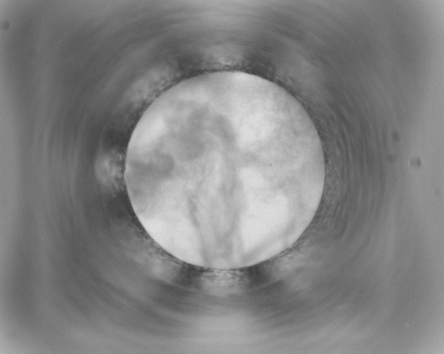 X0000059230672200510281907