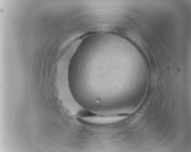 X0000059230673200510281906