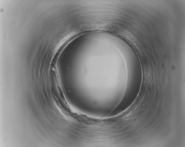 X0000059230674200510281906