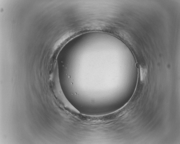 X0000059230675200510281906