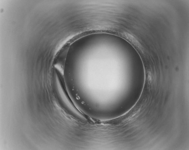 X0000059230676200510281906