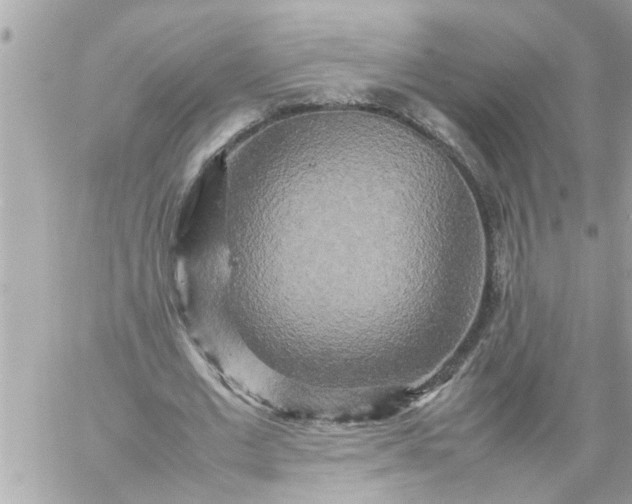 X0000059230677200510281906