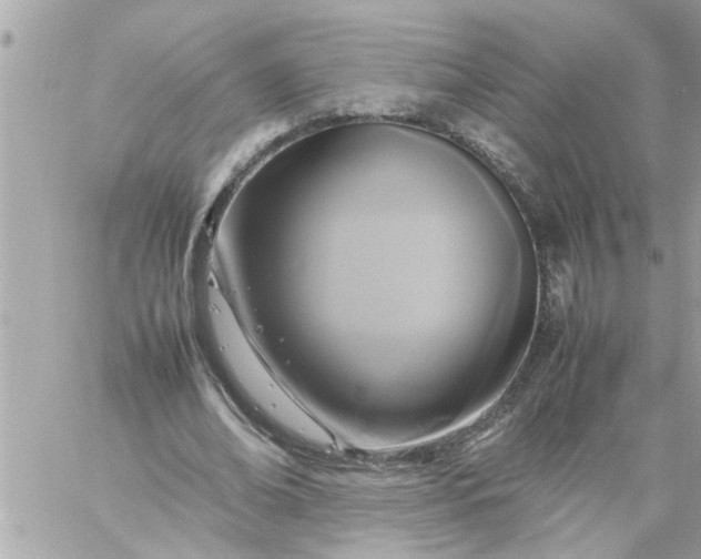 X0000059230678200510281906