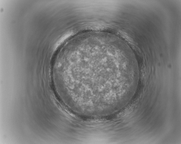 X0000059230679200510281906