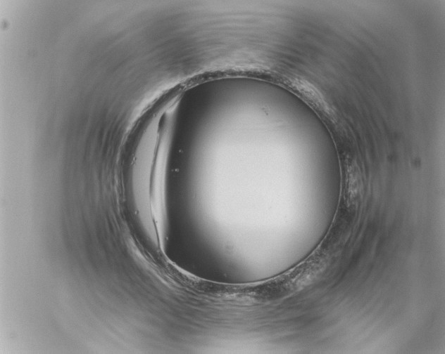 X0000059230680200510281906