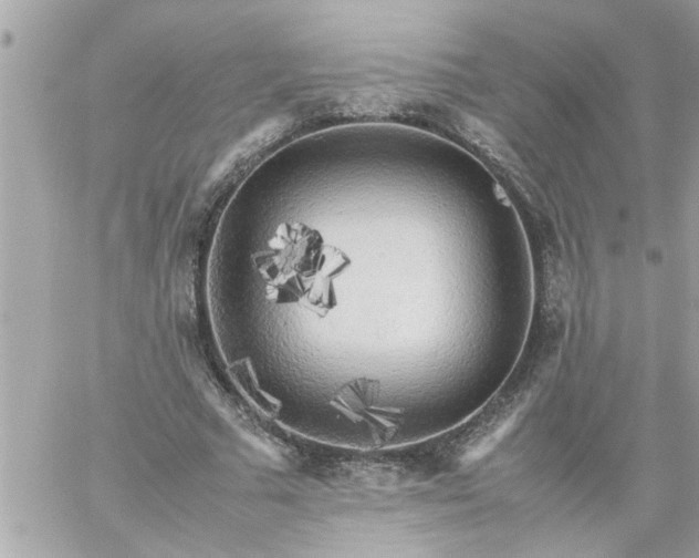 X0000059230681200510281906