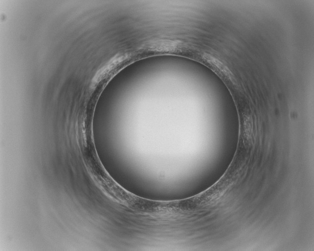 X0000059230682200510281906