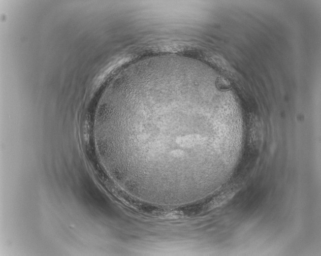 X0000059230683200510281906