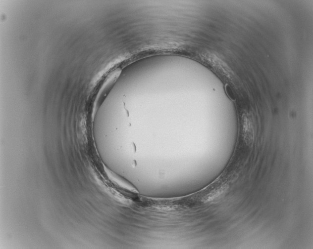 X0000059230684200510281906