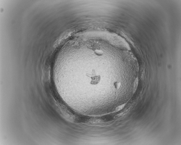 X0000059230685200510281906