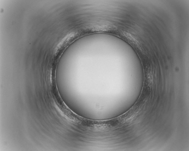 X0000059230686200510281906