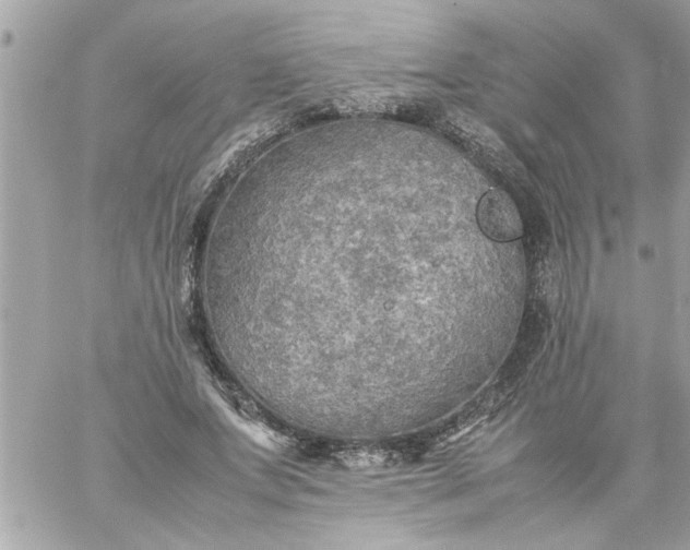 X0000059230687200510281906