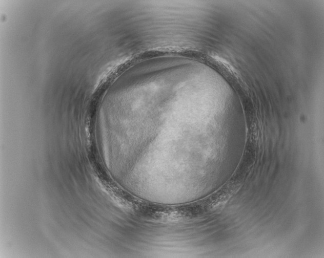 X0000059230688200510281906