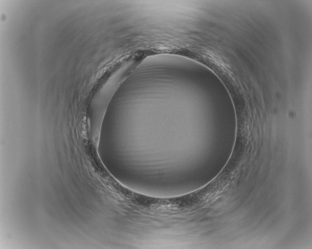 X0000059230689200510281906