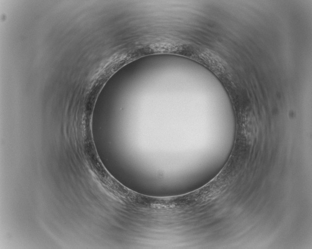 X0000059230690200510281906