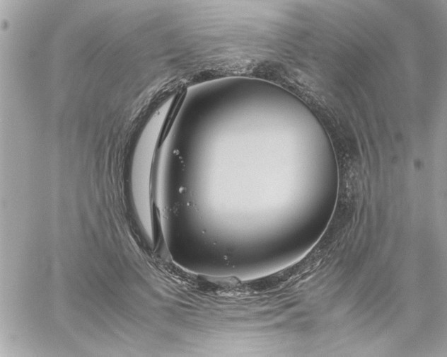 X0000059230693200510281906