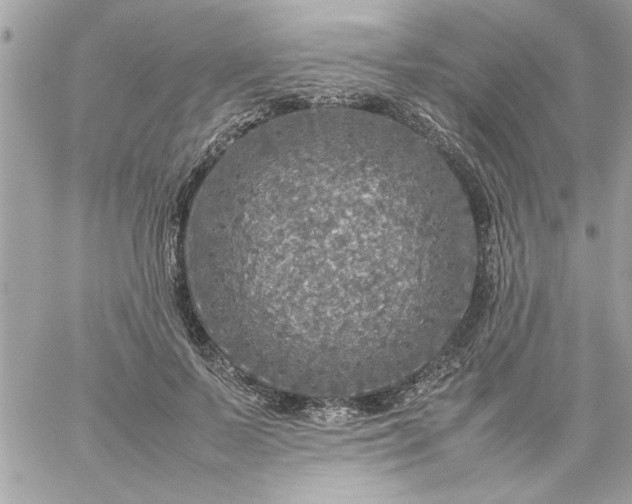 X0000059230695200510281905