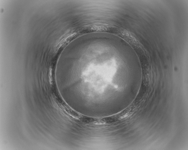 X0000059230696200510281905