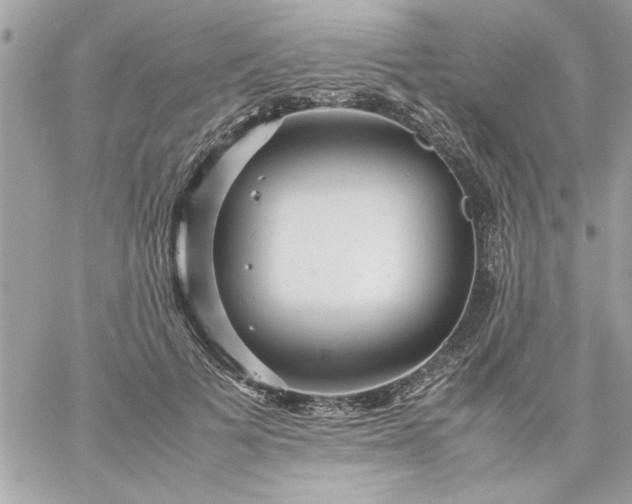 X0000059230697200510281905