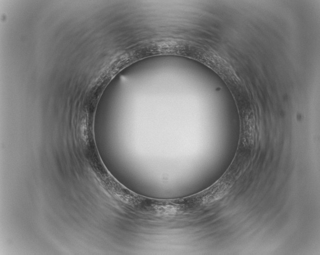 X0000059230698200510281905