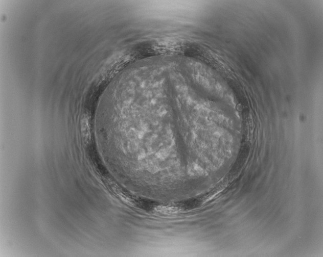 X0000059230699200510281905