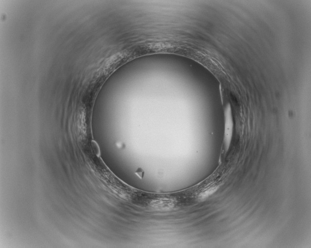 X0000059230700200510281905