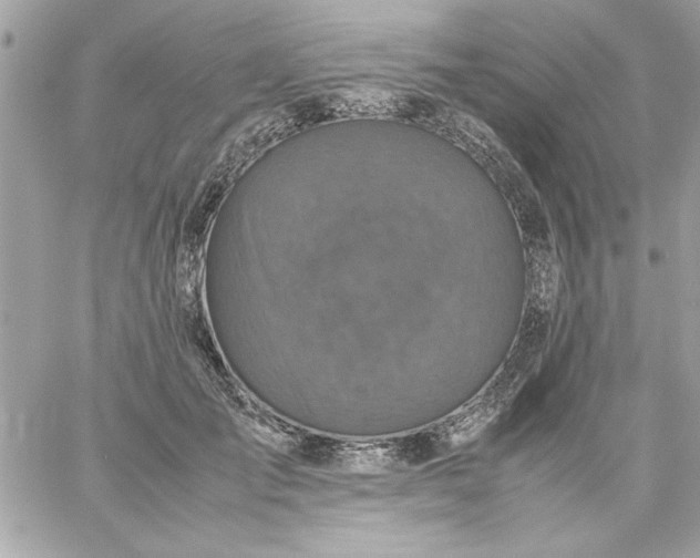 X0000059230701200510281905