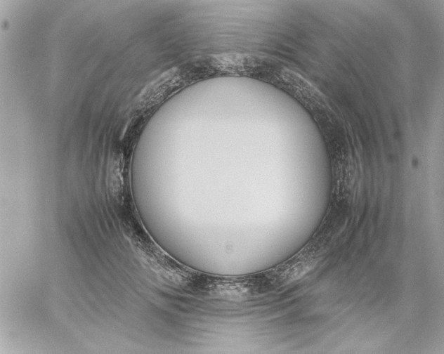 X0000059230702200510281905