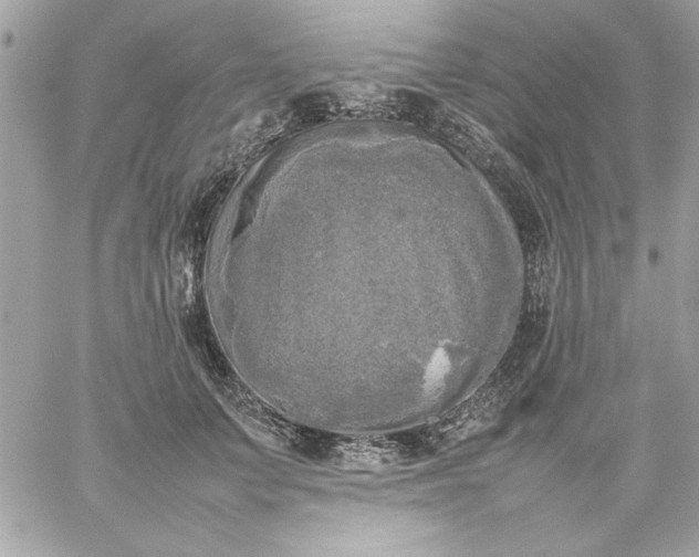 X0000059230703200510281905