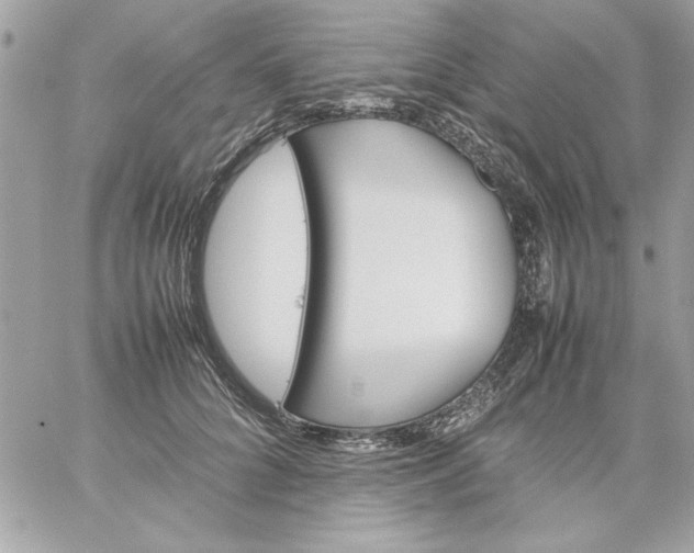 X0000059230704200510281905