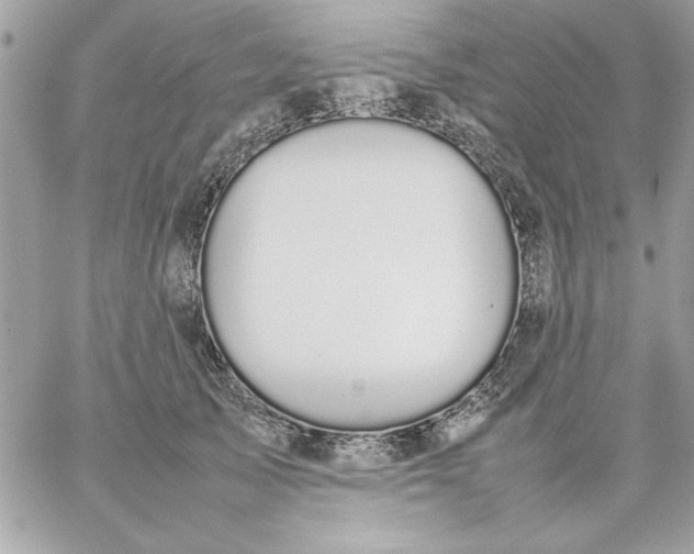 X0000059230705200510281905