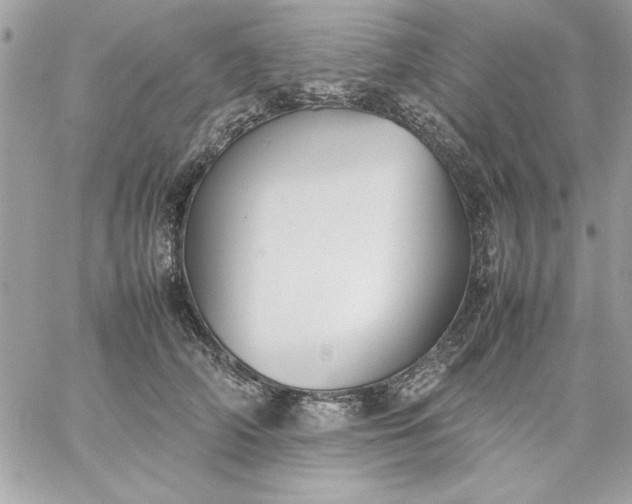 X0000059230706200510281905