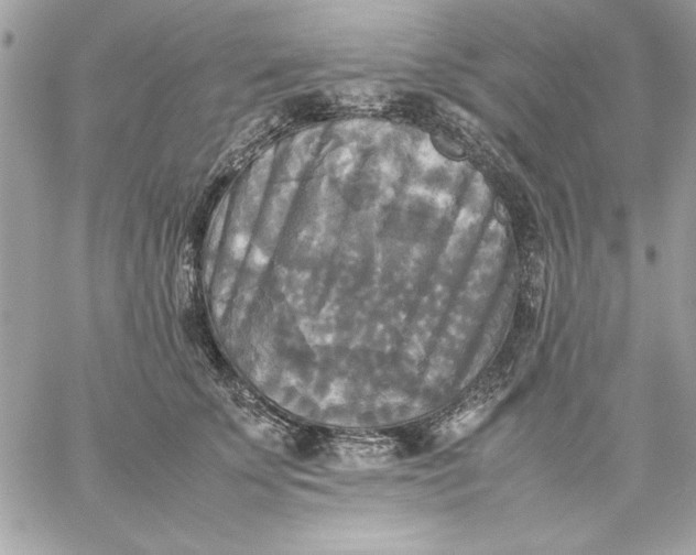 X0000059230707200510281905