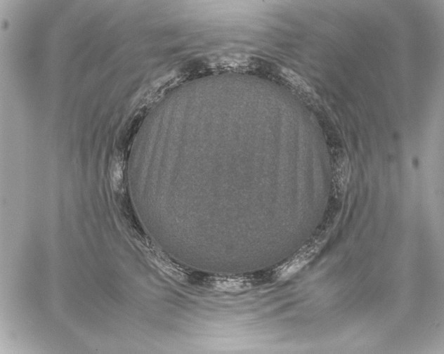 X0000059230709200510281905