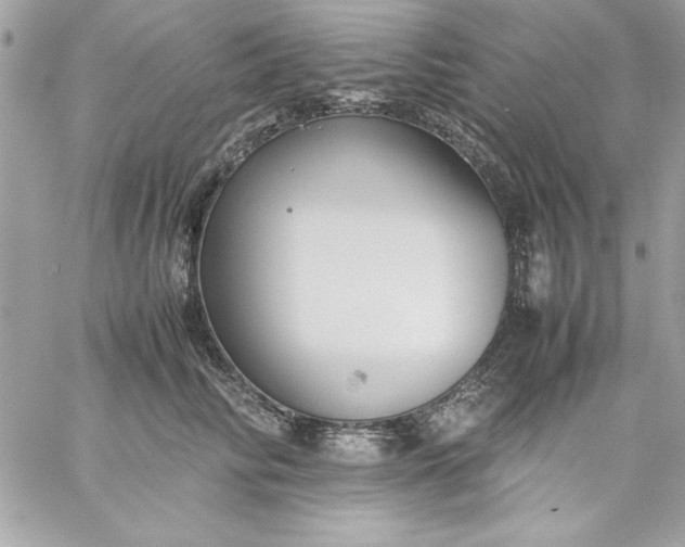 X0000059230710200510281905