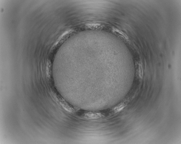 X0000059230712200510281905