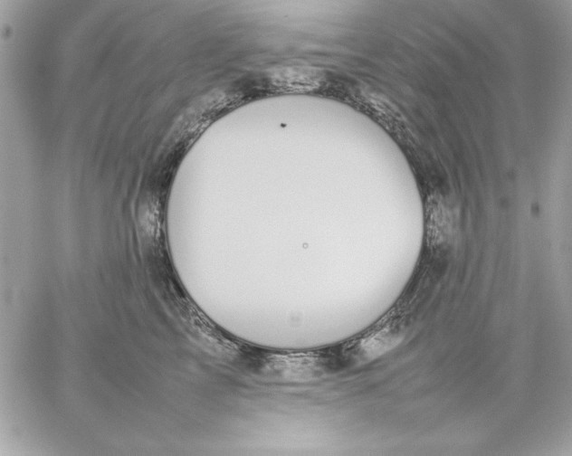 X0000059230713200510281905