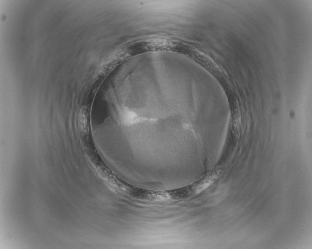 X0000059230715200510281905