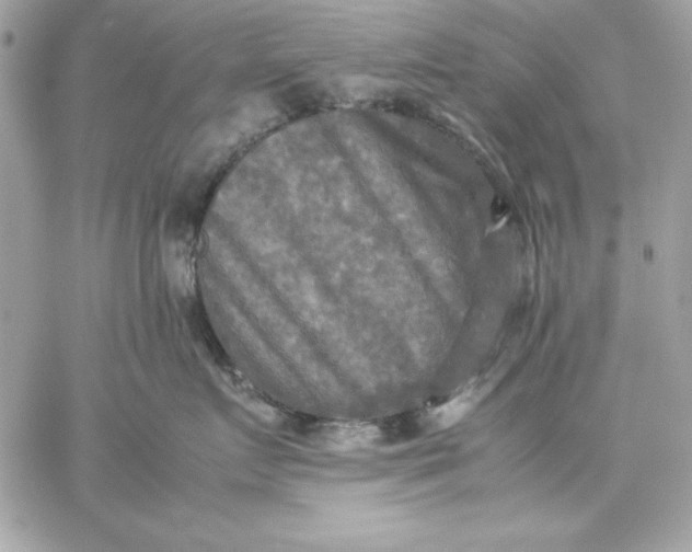 X0000059230719200510281905